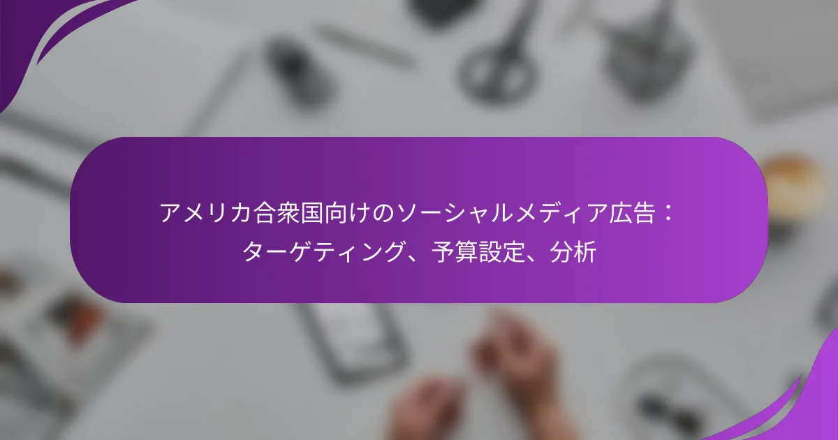 アメリカ合衆国向けのソーシャルメディア広告：ターゲティング、予算設定、分析